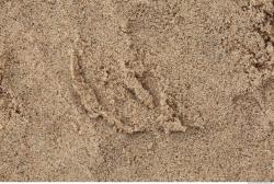 Photo Textures of Sand